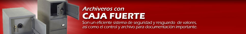 Archiveros con Caja Fuerte - Constituyen un eficiente sistema de protecci&oacute;n y seguridad...