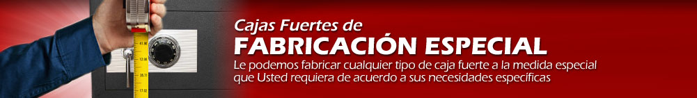 Cajas Fuertes de Fabricaci&oacute;n Especial